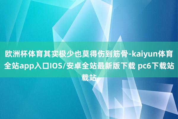 欧洲杯体育其实极少也莫得伤到筋骨-kaiyun体育全站app入口IOS/安卓全站最新版下载 pc6下载站