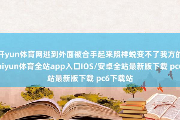 开yun体育网逃到外面被合手起来照样蜕变不了我方的红运-kaiyun体育全站app入口IOS/安卓全站最新版下载 pc6下载站