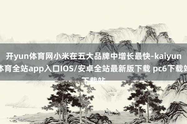 开yun体育网小米在五大品牌中增长最快-kaiyun体育全站app入口IOS/安卓全站最新版下载 pc6下载站